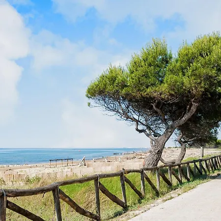 With Terrace Bibione