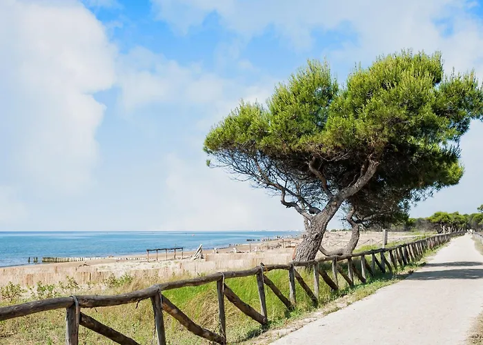 With Terrace Bibione